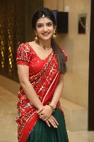 Sreeleela Half Saree Photos